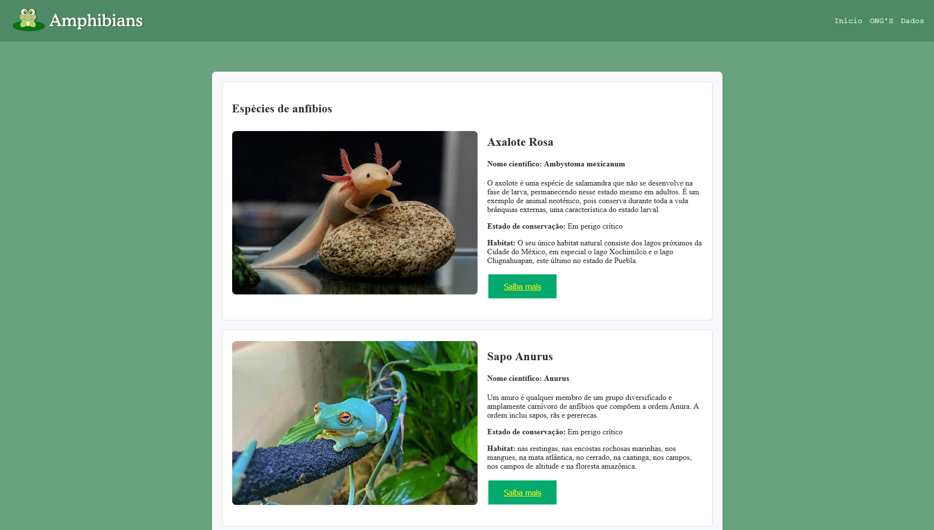 Foto do site Segundo Site